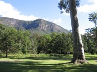 Numinbah Valley - Escarpment from Picnic Ground